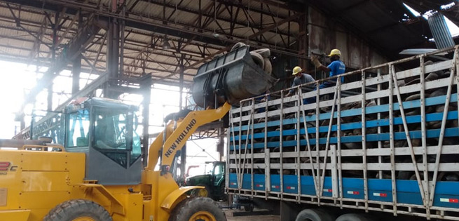 Guapimirim entrega 12 toneladas de pneus para reciclagem