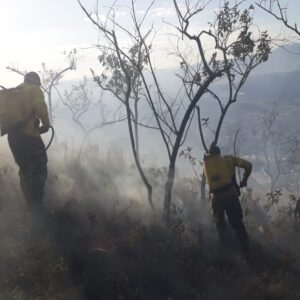 Nova Iguaçu lança Disque Queimada para população denunciar incêndios florestais