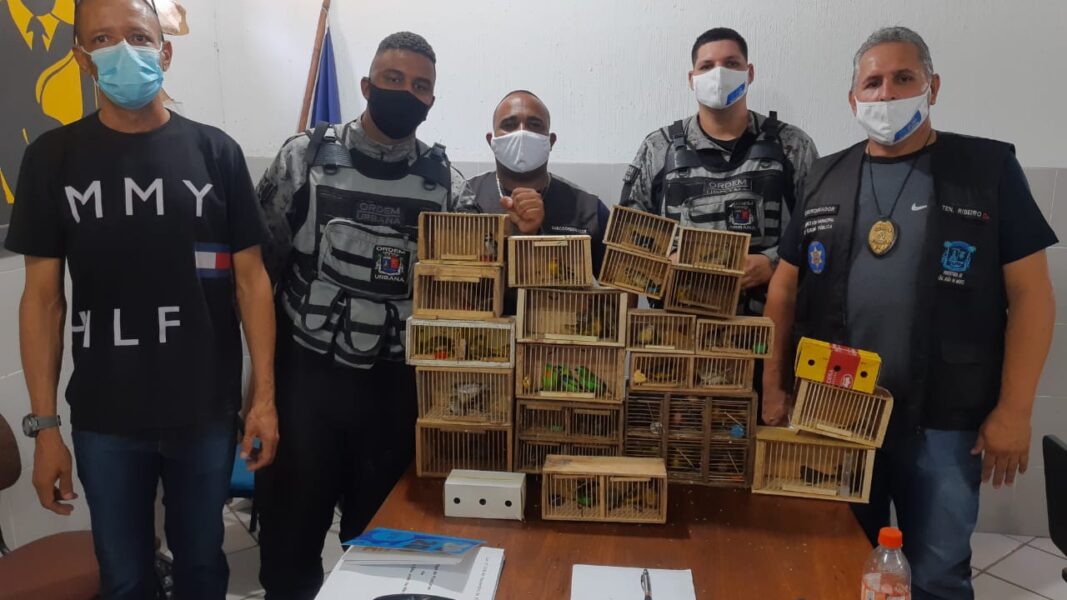 Agentes da Ordem Urbana em São Joãode Meriti apreendem aves silvestres em feira