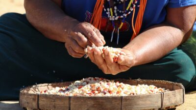 Seminário Questão Indígena na Baixada Fluminense