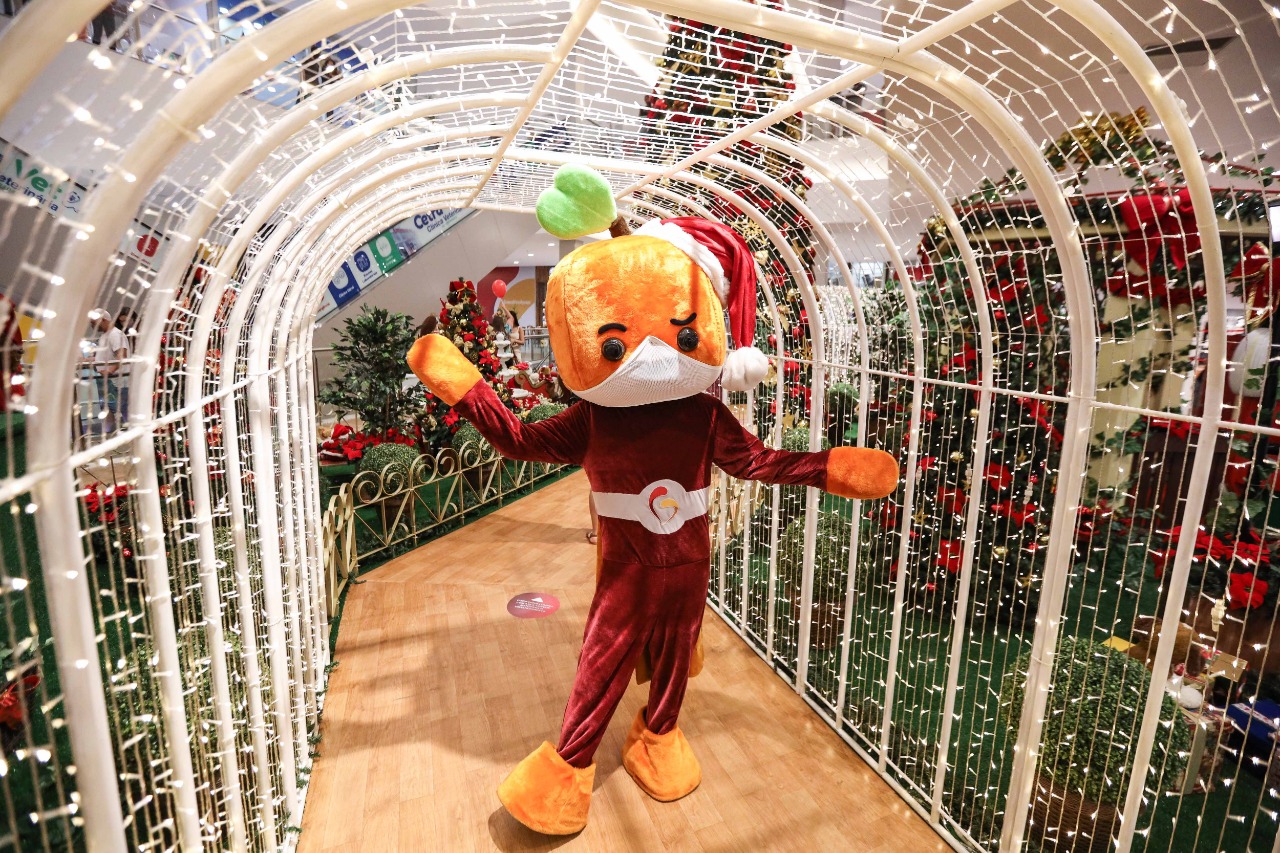 Pra tirar foto no Instagram: Shopping Nova Iguaçu celebra Natal com  decoração especial