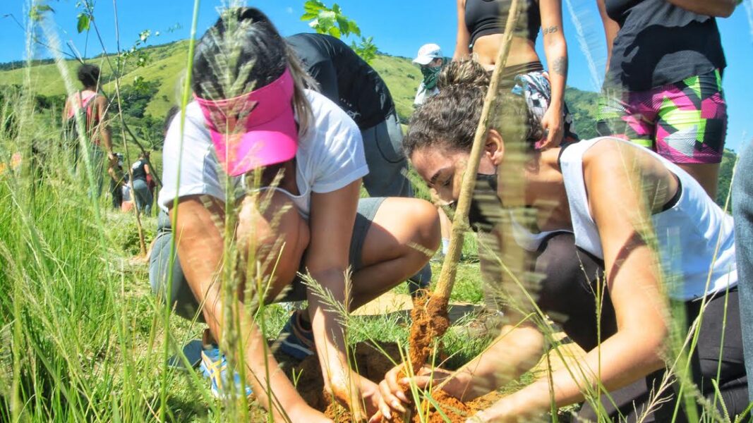 Projeto de reflorestamento vai plantar 300 mil mudas em Nova Iguaçu