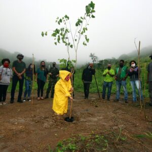 Nova Iguaçu celebra Semana do Meio Ambiente com ações de reflorestamento e de conscientização