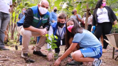 Floresta do Amanhã: 50 hectares serão replantados com espécies da Mata Atlântica em Meriti