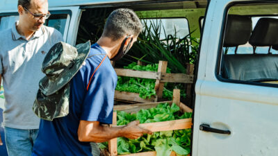 Magé vai distribuir 150 refeições diárias com alimentos plantados na cidade