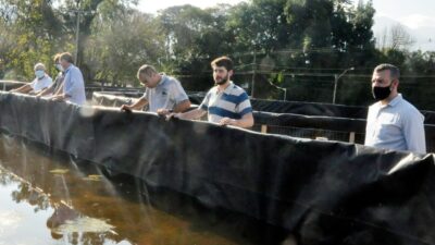Agricultura incentiva produtores de Magé a investir em crédito rural