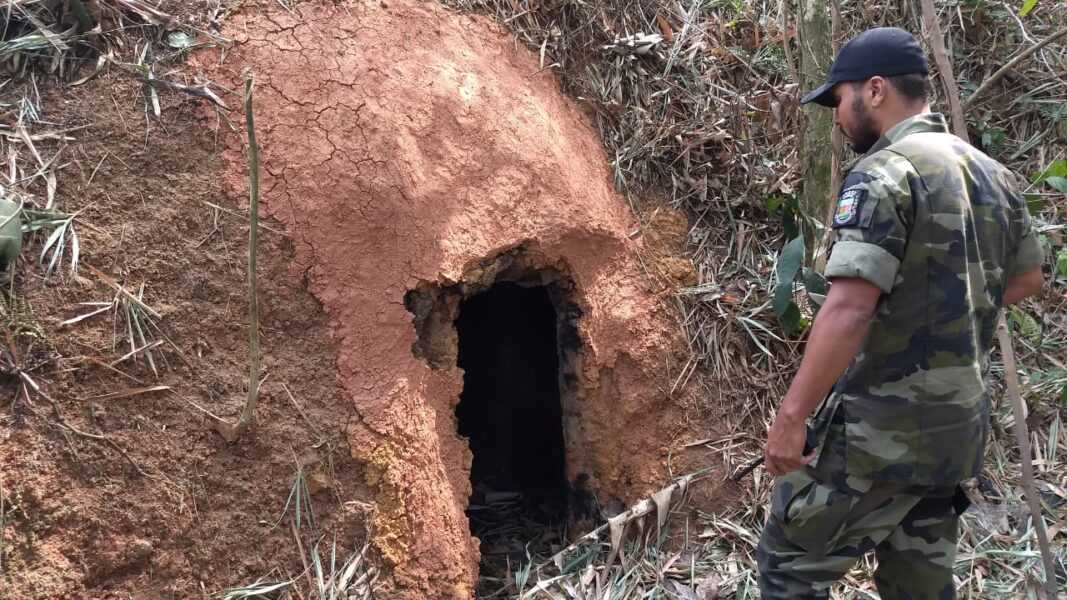 Guarda Ambiental de Nova Iguaçu desativa carvoaria clandestina em Jaceruba