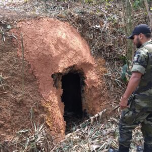 Guarda Ambiental de Nova Iguaçu desativa carvoaria clandestina em Jaceruba