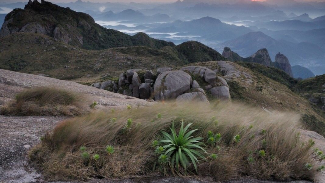 Pontos turísticos de Guapimirim passam a integrar a RedeTrilhas, mapa de ecoturismo do governo federal