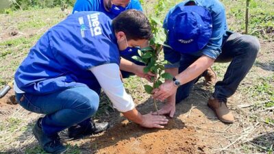 Cedae planta 1 milhão de árvores às margens do Guandu