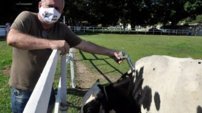 Magé realiza segunda etapa da vacinação contra a Febre Aftosa