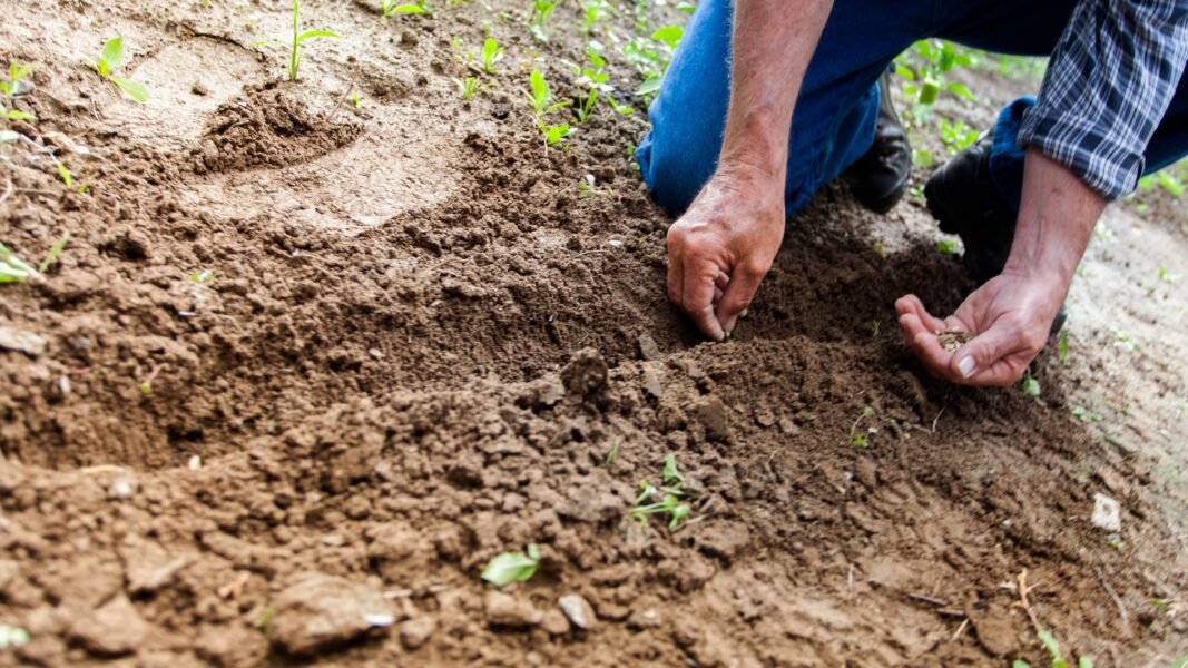 Mesquita convoca agricultores para Recadastramento Rural 2023