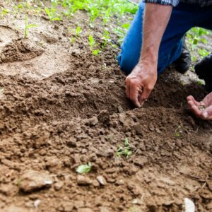 Mesquita convoca agricultores para Recadastramento Rural 2023