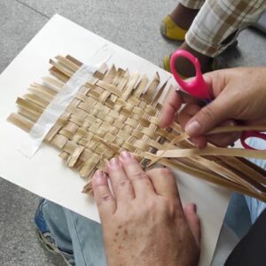 Oficina de artesanato da FENIG vai ensinar a reaproveitar cascas e fibras naturais