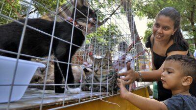 Nova Iguaçu realiza mais uma edição da Feira de Adoção de Cães e Gatos neste sábado (21)