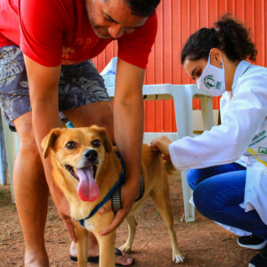 Nilópolis vacinará cães e gatos com antirrábica no próximo dia 21