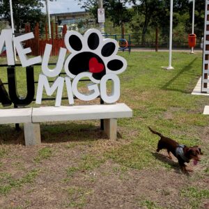 Pets podem se divertir em Nova Iguaçu com a abertura do “ParCão”