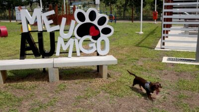 Pets podem se divertir em Nova Iguaçu com a abertura do “ParCão”
