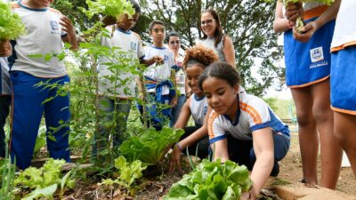 Projeto ‘Escolas que Plantam’ ensina crianças da rede municipal de Nova Iguaçu a plantar e cultivar dentro das unidades de ensino