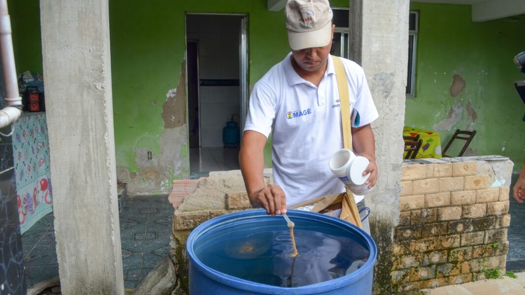 Baixada Fluminense se mobiliza contra o Aedes aegypti e epidemia de dengue