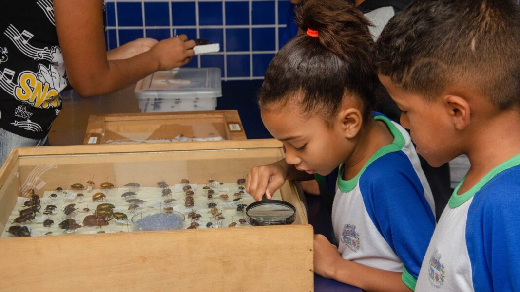 Japeri divulga calendário de matrícula para as unidades escolares