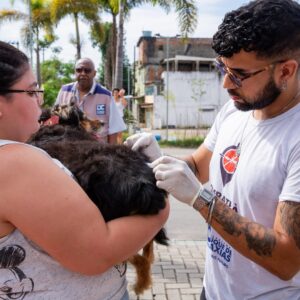 Caxias intensifica vacinação antirrábica e combate à dengue nos quatro distritos