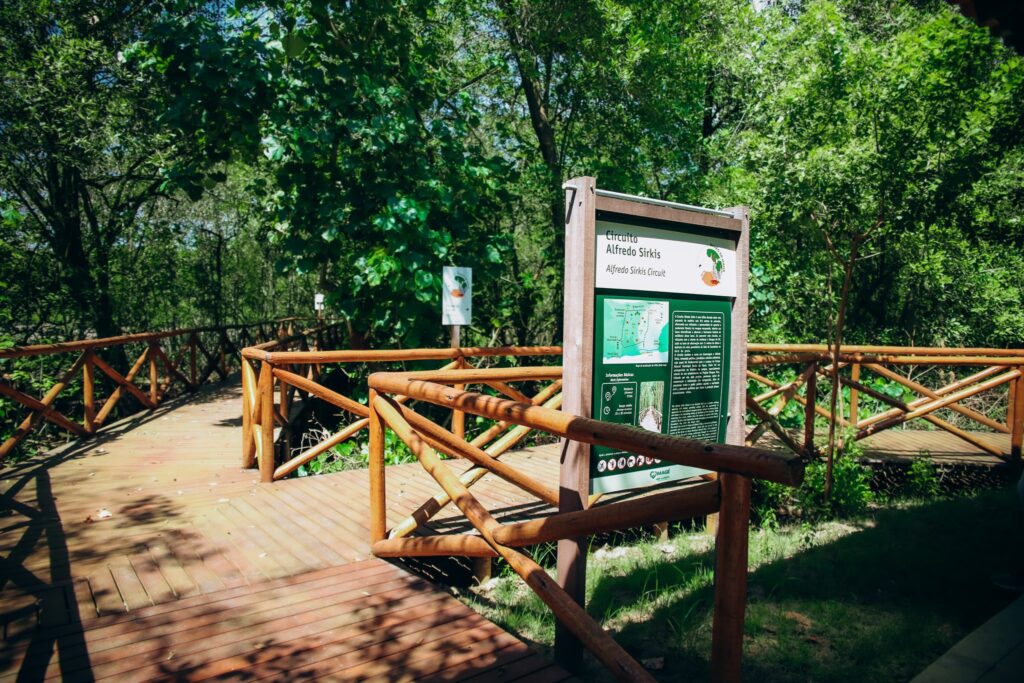 Fluminense Parque Parque Natural Barão de Mauá transforma área degradada em símbolo ...
