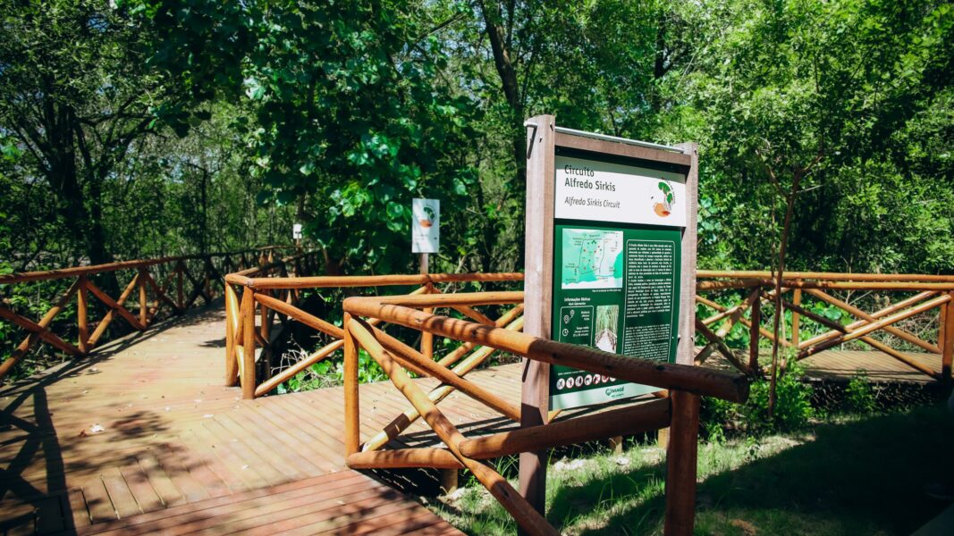 Parque Natural Barão de Mauá transforma área degradada em símbolo ambiental da Baixada Fluminense