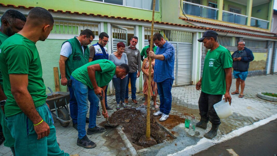 Meriti inicia plantio de 10 mil árvores no maior programa de arborização da cidade