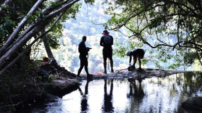 Parque Natural Municipal de Nova Iguaçu é o segundo mais pesquisado do Brasil