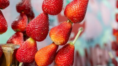Caxias Shopping recebe Festival do Morango com gastronomia criativa, música ao vivo e ação social neste fim de semana