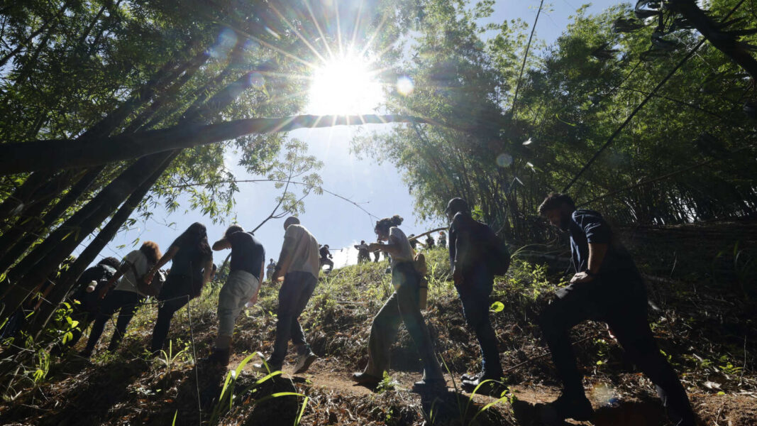 Cedae planta 402 mudas em Paracambi em homenagem aos bebês nascidos no município, em 2025