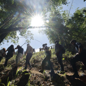 Cedae planta 402 mudas em Paracambi em homenagem aos bebês nascidos no município, em 2025