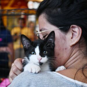 Nova Iguaçu promove primeira campanha de adoção de animais de 2026