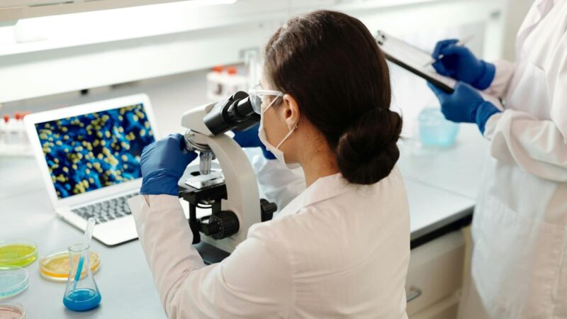 Prefeitura de Paracambi promove 1º Encontro de Pesquisadores das Unidades de Conservação do município