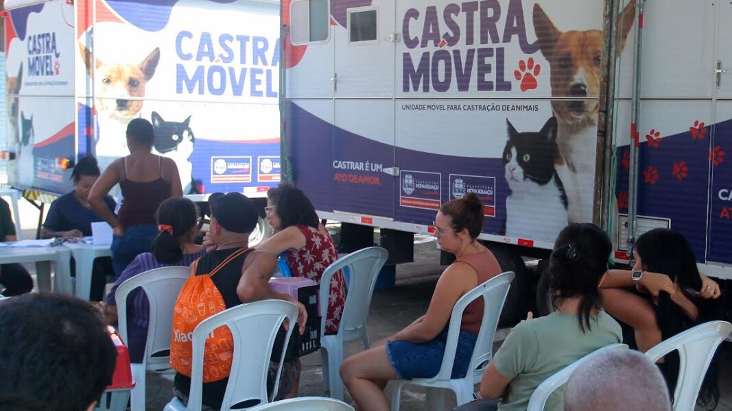Castramóvel da Prefeitura de Nova Iguaçu chega a Austin para nova etapa de castração gratuita de animais