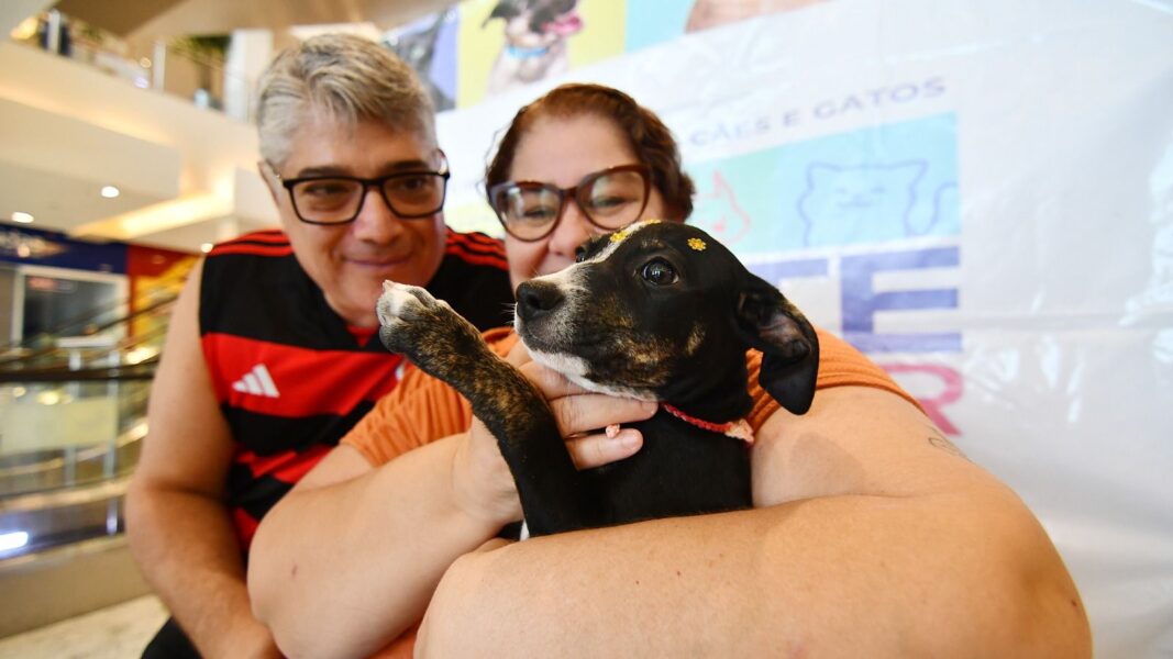Com histórias marcadas pelo amor aos animais, casais adotam novos pets em Campanha de Adoção em Nova Iguaçu