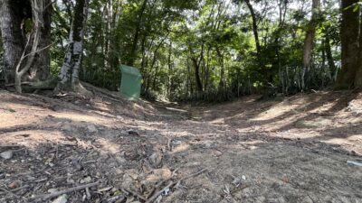 Parque Jurema