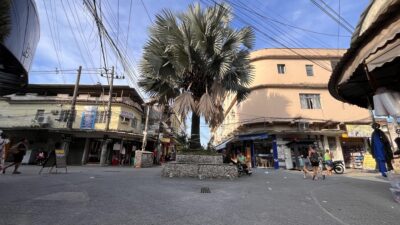 Calçadão de Coelho da Rocha