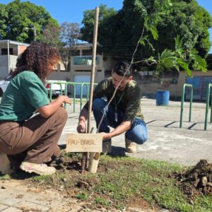 Japeri: ações ambientais movimentam a Praça do Skate, em Nova Belém