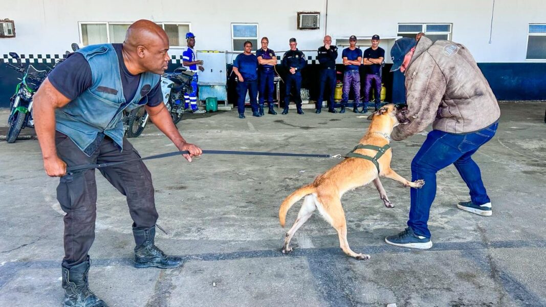 Guarda Municipal de Meriti inicia treinamento do Grupamento de Operações com Cães