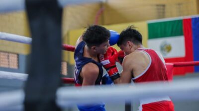 Mesquita sedia pela primeira vez evento internacional de boxe com atletas de sete países