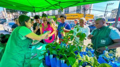 Prefeitura de Meriti realiza Blitz Ambiental e distribui mudas nativas em Vilar dos Teles