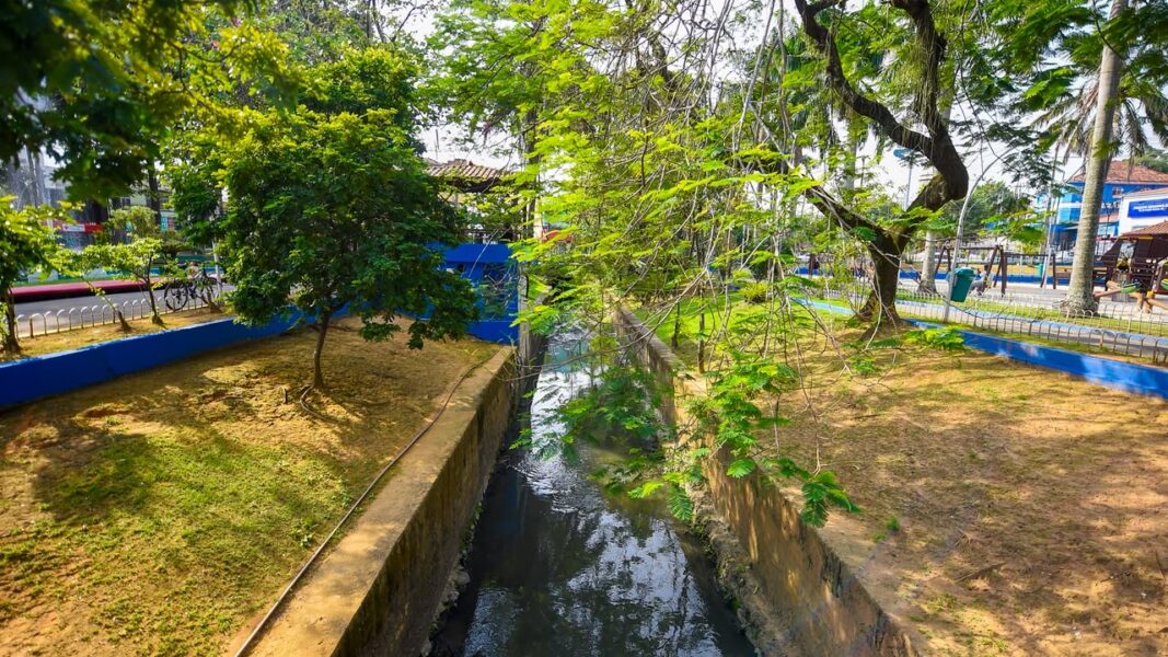 “Esse Rio é Meu” lança site inédito com mapa dos rios de cinco municípios do Rio e convida moradores a batizar os anônimos