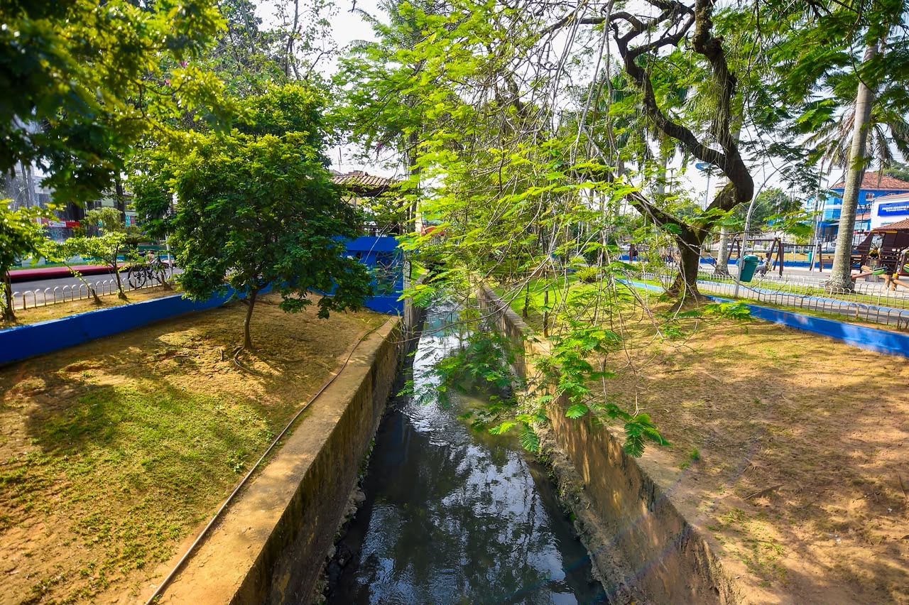 “Esse Rio é Meu” lança site inédito com mapa dos rios de cinco municípios do Rio e convida moradores a batizar os anônimos