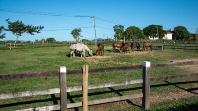 Qualifica Rural abre 600 vagas gratuitas em cursos voltados ao setor agropecuário