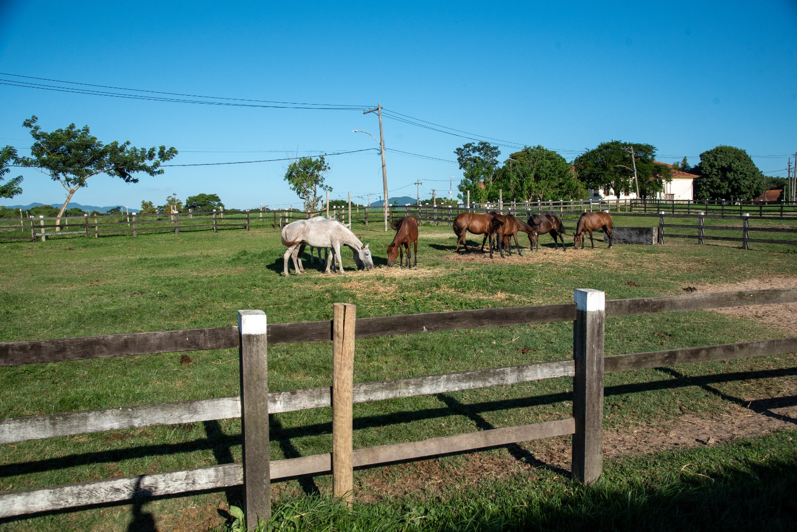 Qualifica Rural abre 600 vagas gratuitas em cursos voltados ao setor agropecuário