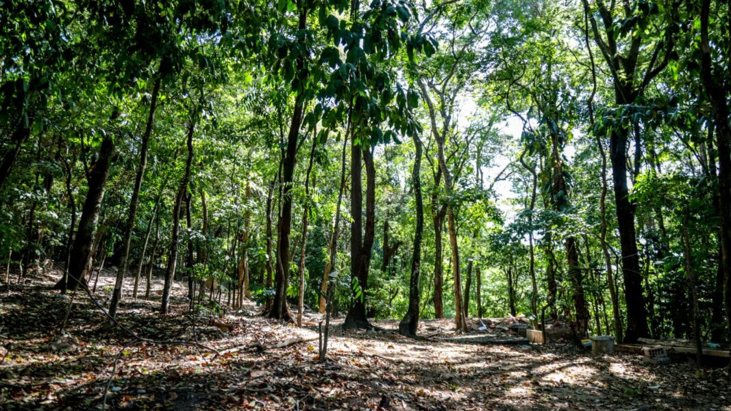Jovens de São João de Meriti podem receber até R$ 25 mil para criar soluções para problemas climáticos