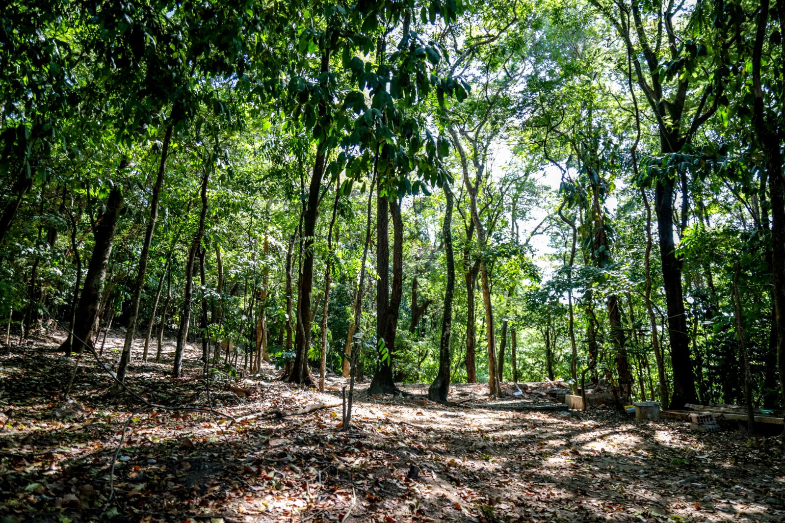 Jovens de São João de Meriti podem receber até R$ 25 mil para criar soluções para problemas climáticos