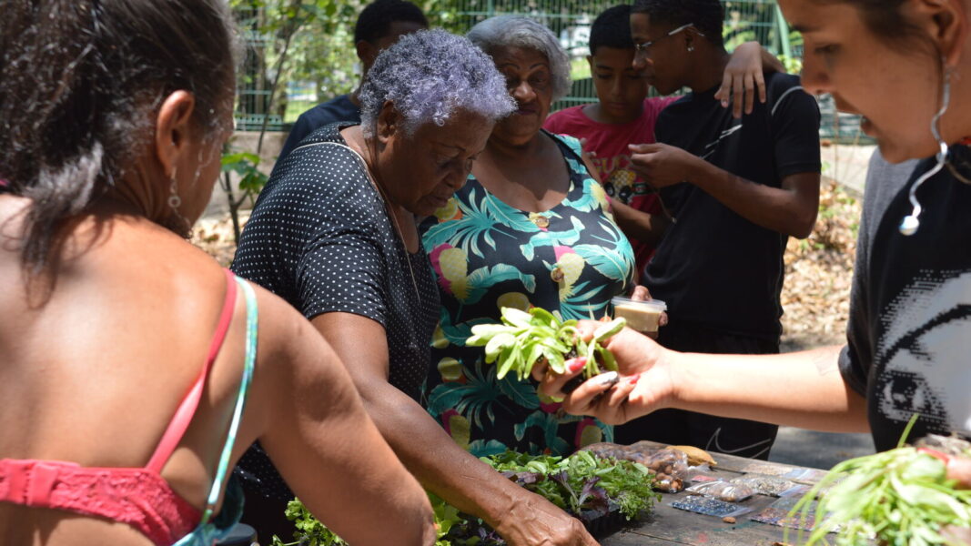 Arena Dicró inicia novo ciclo de agroecologia urbana e fortalece mobilização comunitária na Penha